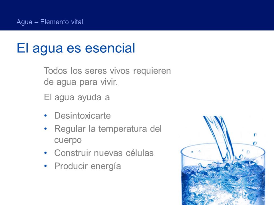 Agua – Elemento vital El agua es esencial. Todos los seres vivos requieren de agua para vivir. El agua ayuda a.
