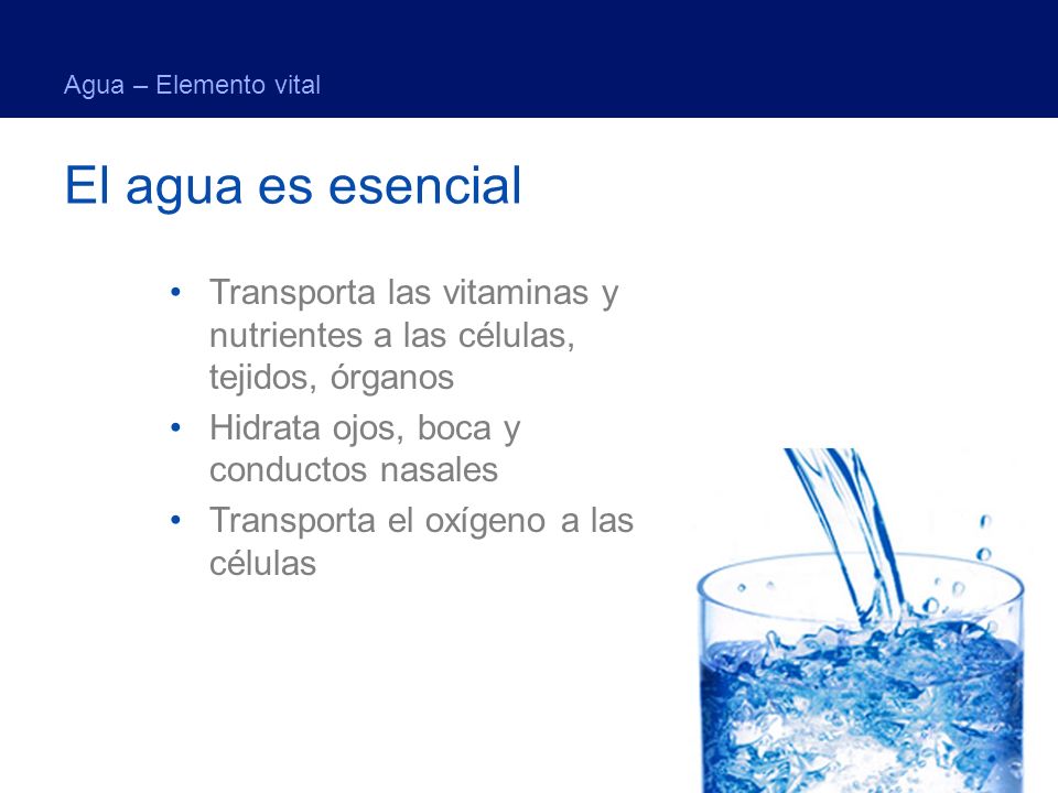 Agua – Elemento vital El agua es esencial. Transporta las vitaminas y nutrientes a las células, tejidos, órganos.