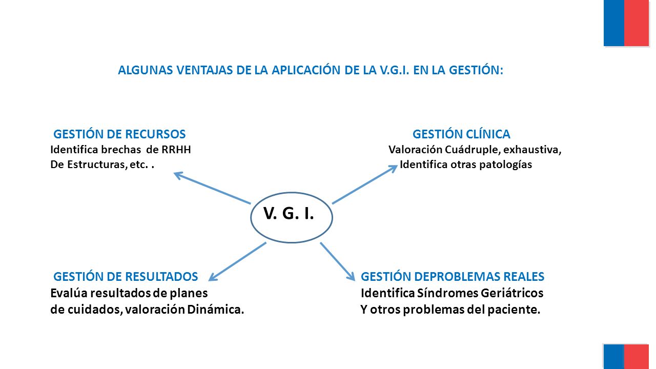 V. G. I. ALGUNAS VENTAJAS DE LA APLICACIÓN DE LA V.G.I. EN LA GESTIÓN: