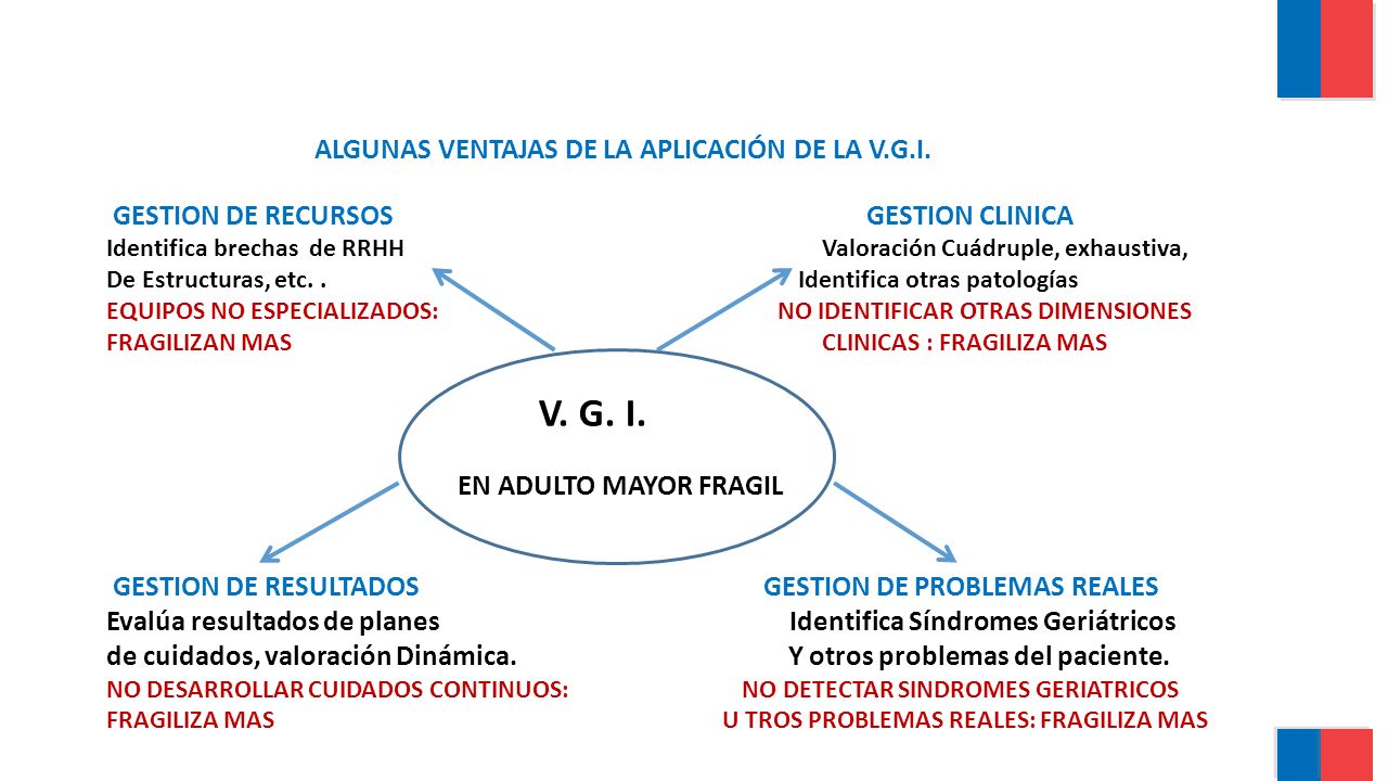 V. G. I. ALGUNAS VENTAJAS DE LA APLICACIÓN DE LA V.G.I.