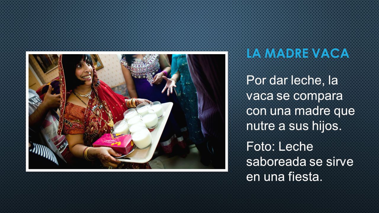 LA MADRE VACA Por dar leche, la vaca se compara con una madre que nutre a sus hijos.