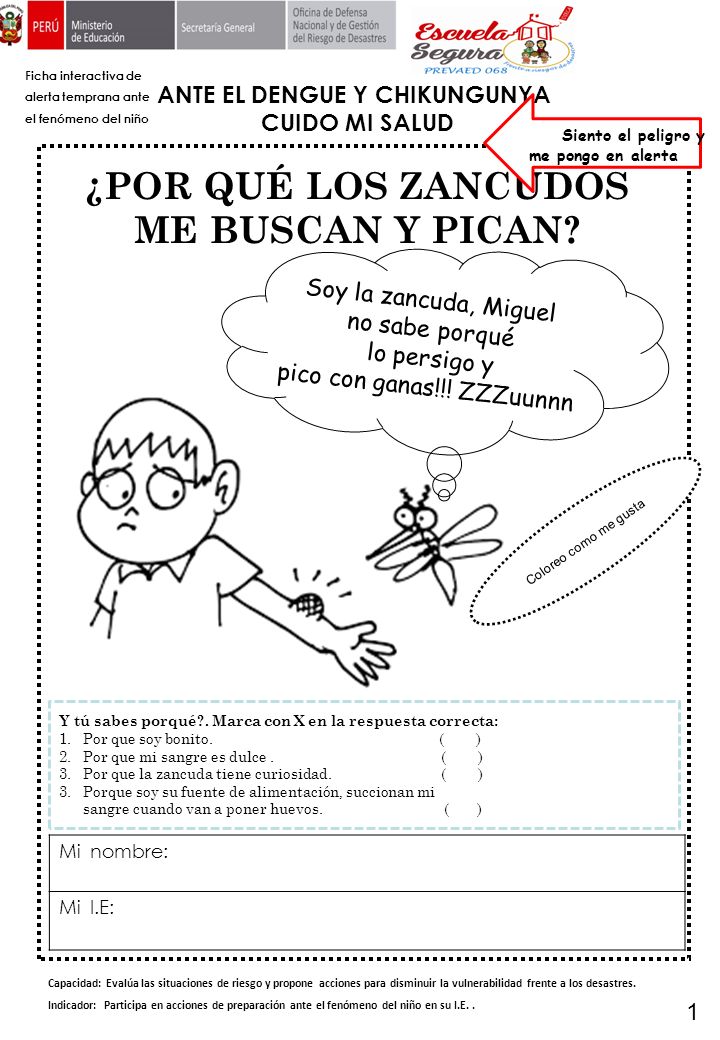 ANTE EL DENGUE Y CHIKUNGUNYA ¿POR QUÉ LOS ZANCUDOS ME BUSCAN Y PICAN