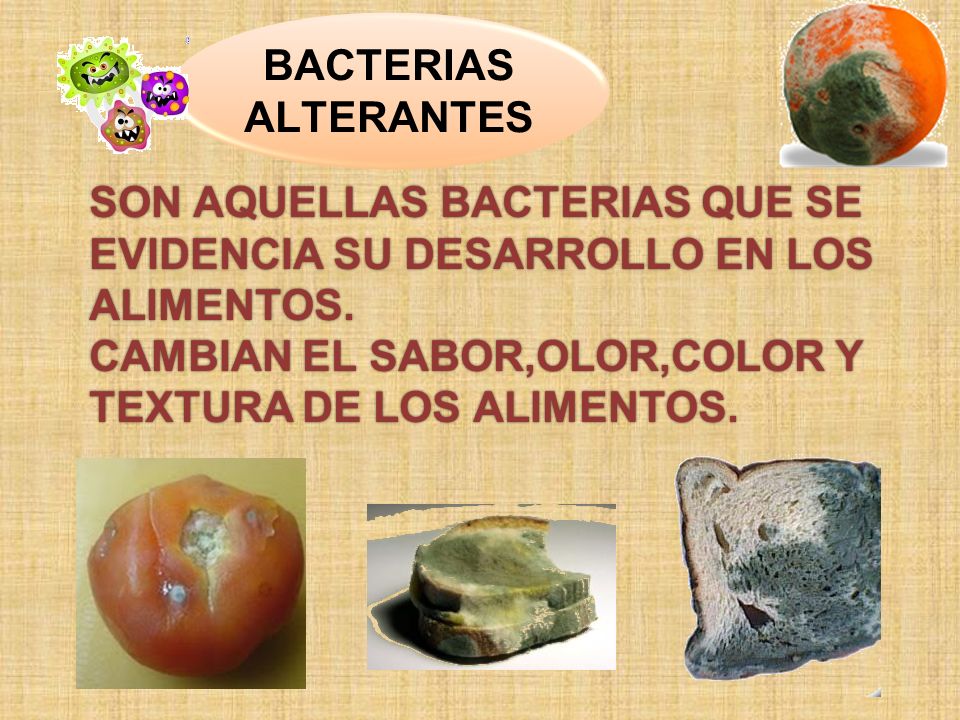 BACTERIAS ALTERANTES SON AQUELLAS BACTERIAS QUE SE EVIDENCIA SU DESARROLLO EN LOS ALIMENTOS.