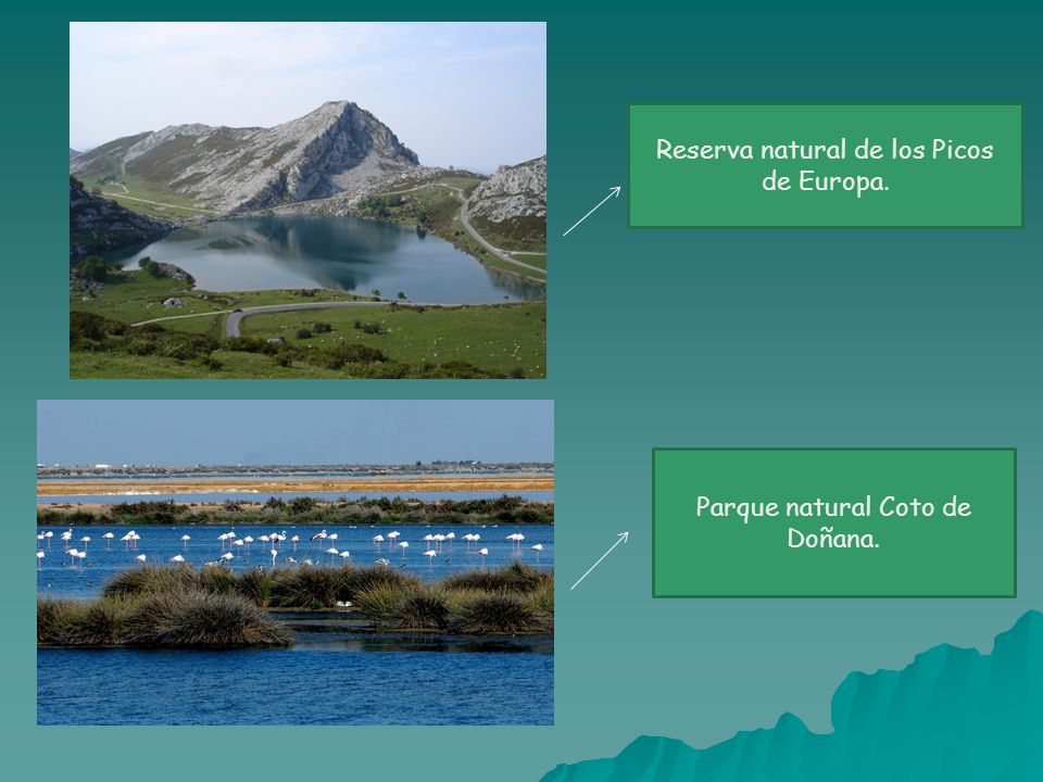 Reserva natural de los Picos de Europa.