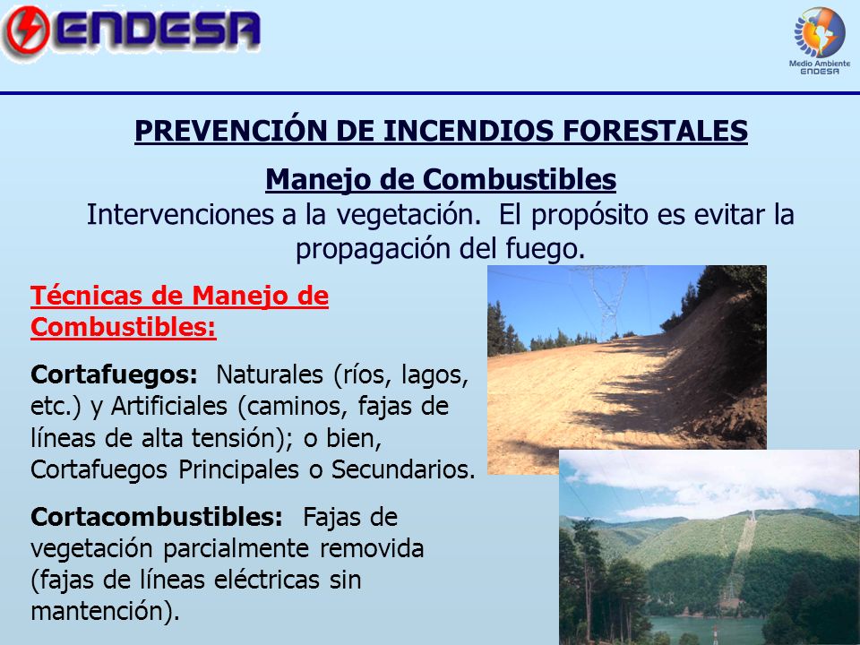 PREVENCIÓN DE INCENDIOS FORESTALES Manejo de Combustibles Intervenciones a la vegetación. El propósito es evitar la propagación del fuego.