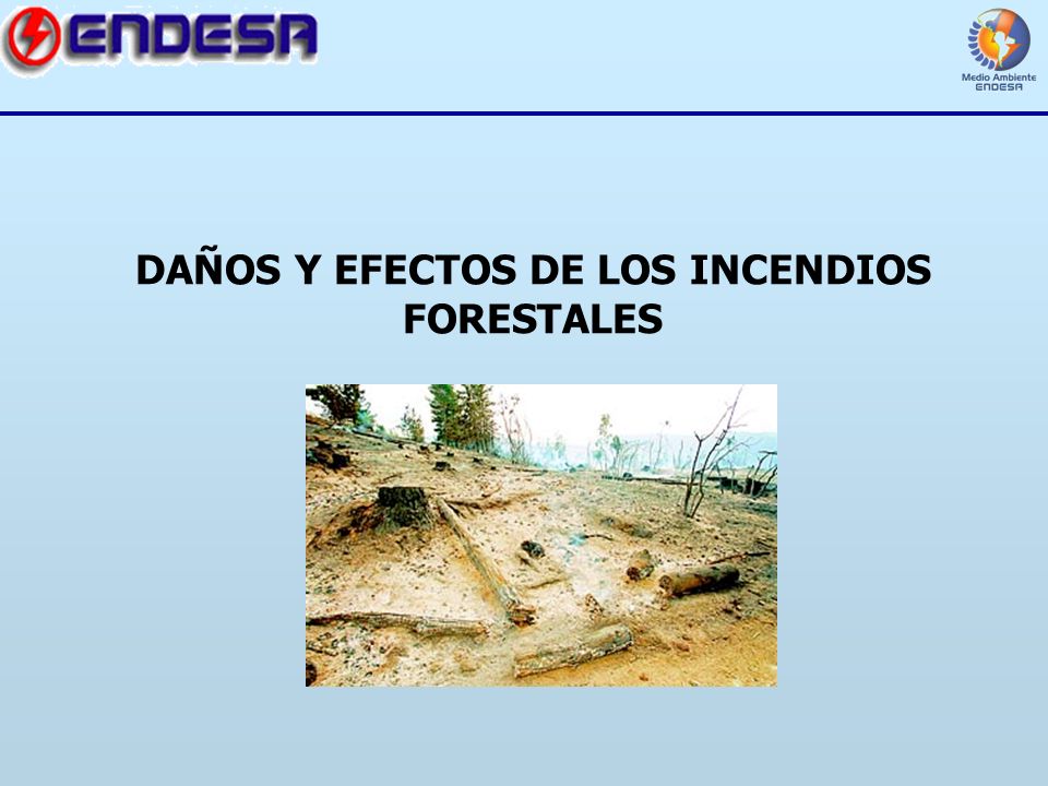 DAÑOS Y EFECTOS DE LOS INCENDIOS FORESTALES