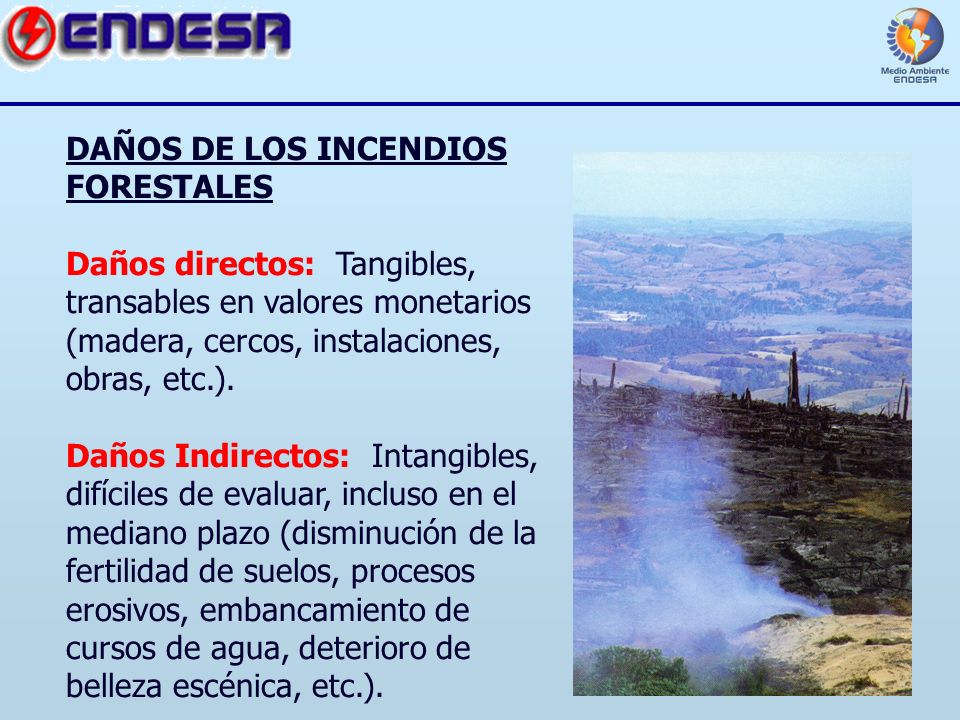 DAÑOS DE LOS INCENDIOS FORESTALES Daños directos: Tangibles, transables en valores monetarios (madera, cercos, instalaciones, obras, etc.).