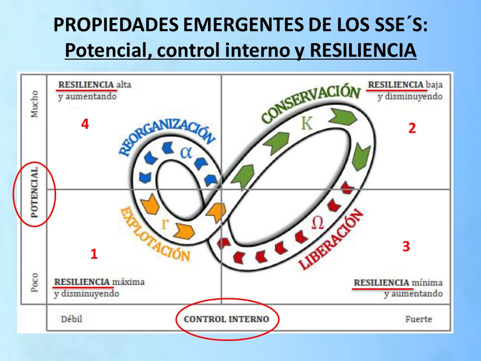 PROPIEDADES EMERGENTES DE LOS SSE´S: Potencial, control interno y RESILIENCIA