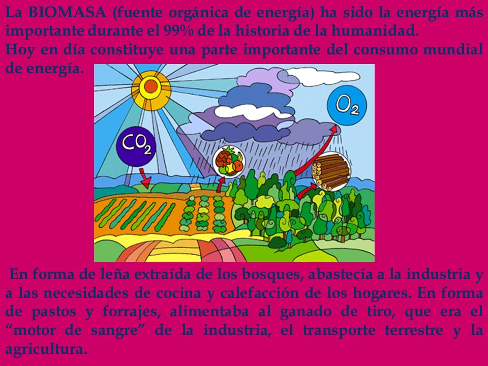 La BIOMASA (fuente orgánica de energía) ha sido la energía más importante durante el 99% de la historia de la humanidad.