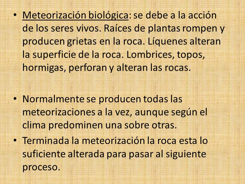 Meteorización biológica: se debe a la acción de los seres vivos