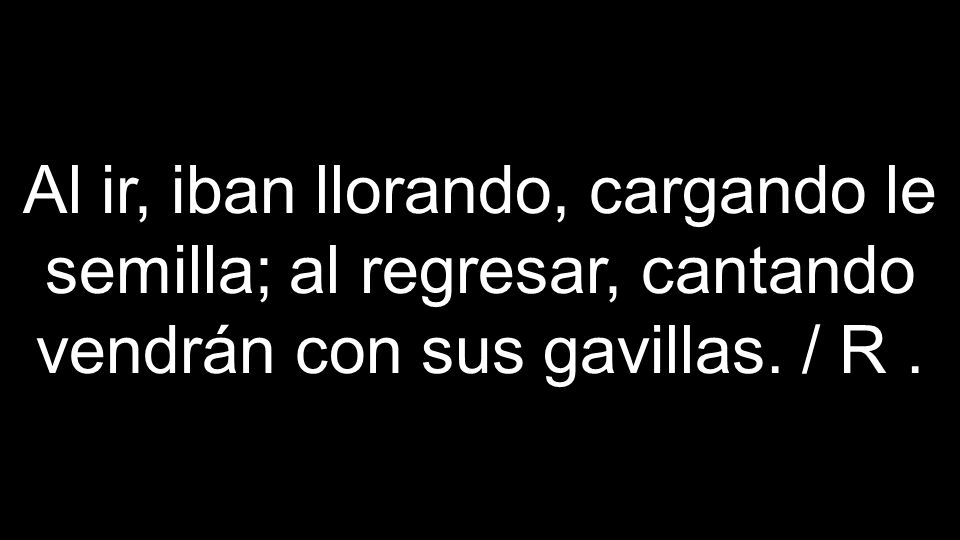 Al ir, iban llorando, cargando le semilla; al regresar, cantando vendrán con sus gavillas. / R .