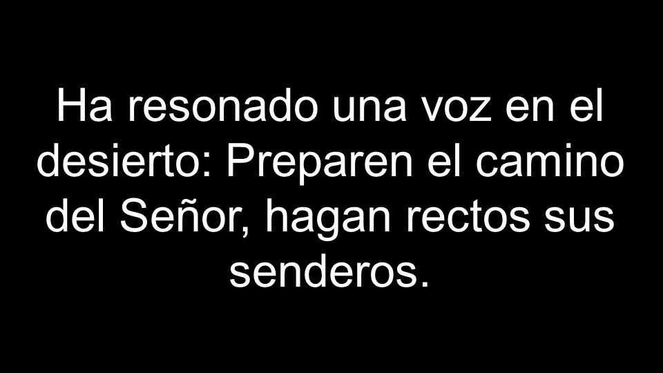 Ha resonado una voz en el desierto: Preparen el camino del Señor, hagan rectos sus senderos.