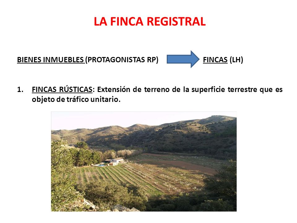 LA FINCA REGISTRAL BIENES INMUEBLES (PROTAGONISTAS RP) FINCAS (LH)