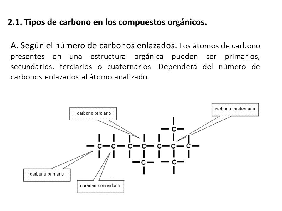 2.1. Tipos de carbono en los compuestos orgánicos.
