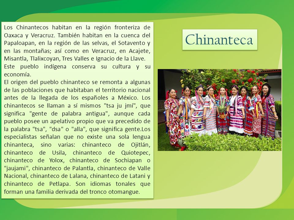 Los Chinantecos habitan en la región fronteriza de Oaxaca y Veracruz