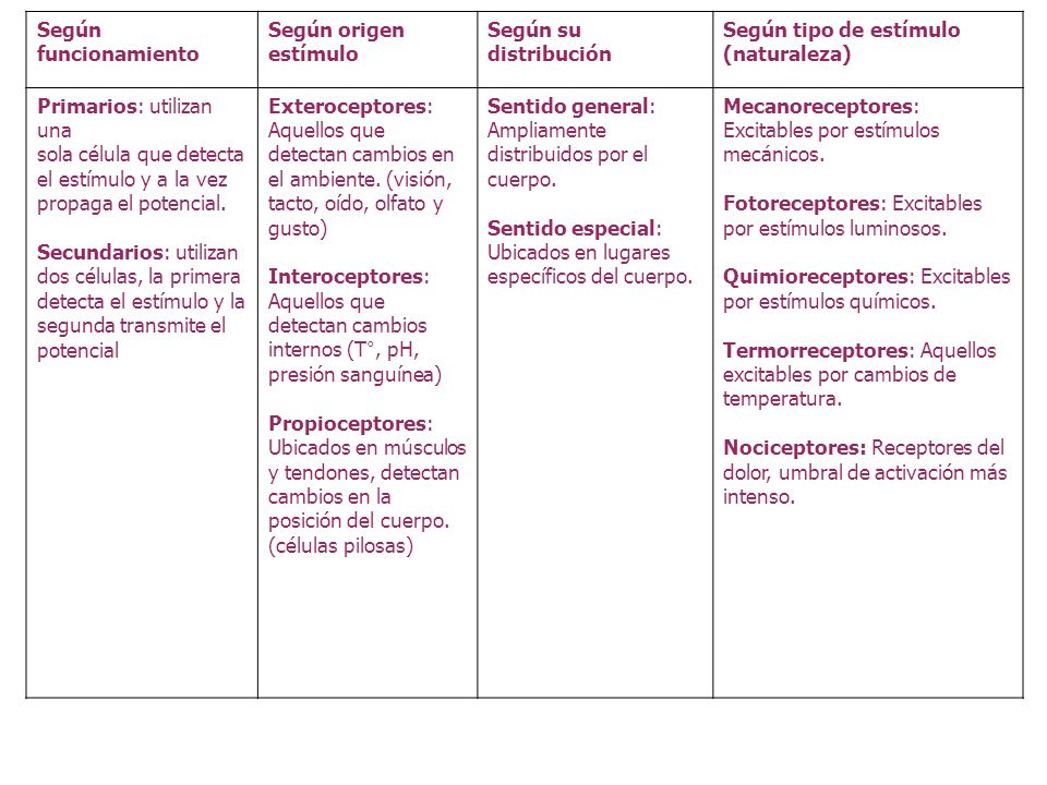 Según funcionamiento Según origen estímulo. Según su distribución. Según tipo de estímulo (naturaleza)