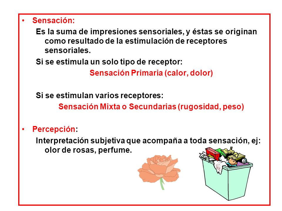 Si se estimula un solo tipo de receptor: