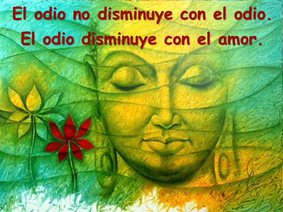 El odio no disminuye con el odio. El odio disminuye con el amor.