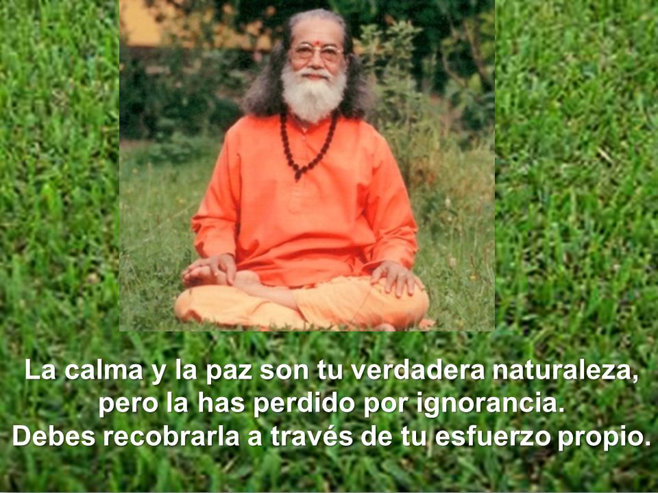 La calma y la paz son tu verdadera naturaleza, pero la has perdido por ignorancia.