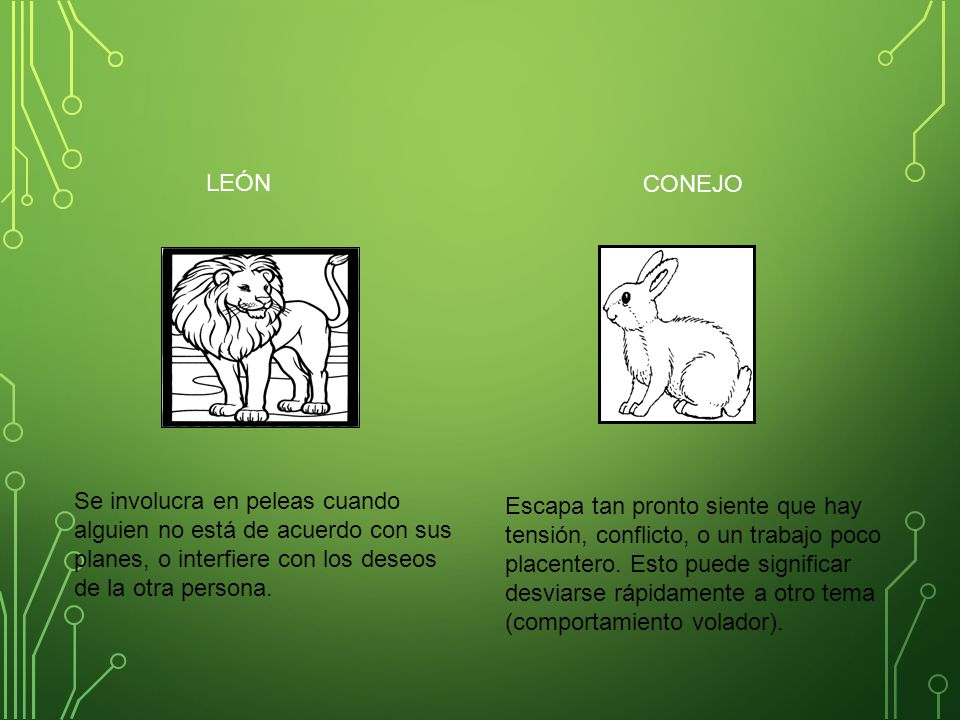 LEÓN CONEJO. Se involucra en peleas cuando alguien no está de acuerdo con sus planes, o interfiere con los deseos de la otra persona.