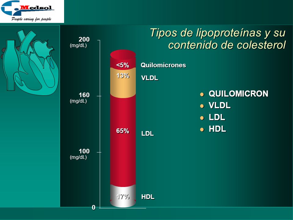 Tipos de lipoproteínas y su contenido de colesterol