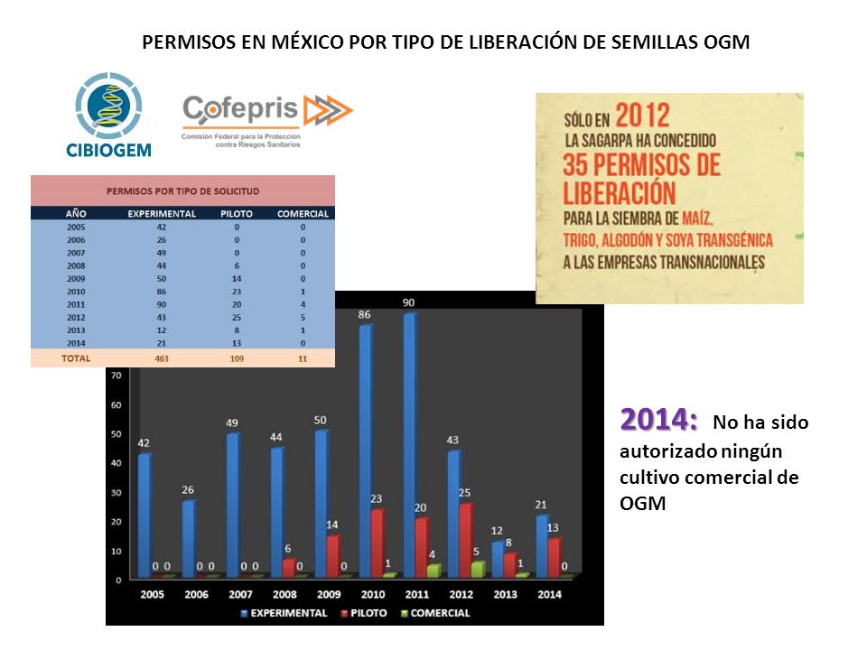 2014: No ha sido autorizado ningún cultivo comercial de OGM