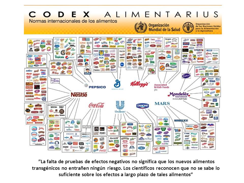 La falta de pruebas de efectos negativos no significa que los nuevos alimentos transgénicos no entrañen ningún riesgo.