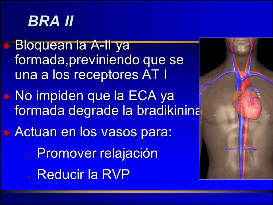 BRA II Bloquean la A-II ya formada,previniendo que se una a los receptores AT I. No impiden que la ECA ya formada degrade la bradikinina.