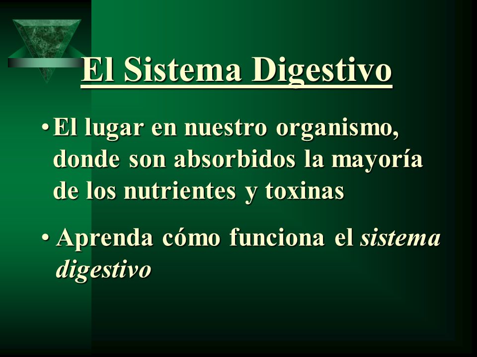 El Sistema Digestivo El lugar en nuestro organismo, donde son absorbidos la mayoría de los nutrientes y toxinas.