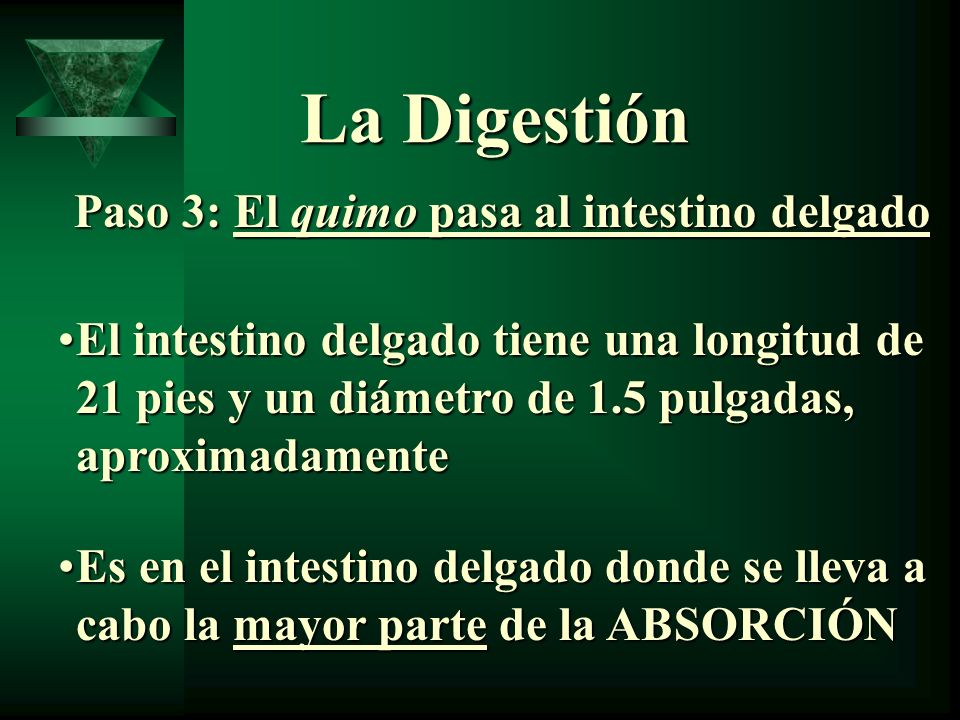 La Digestión Paso 3: El quimo pasa al intestino delgado