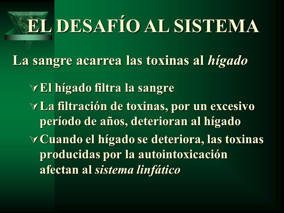 EL DESAFÍO AL SISTEMA La sangre acarrea las toxinas al hígado