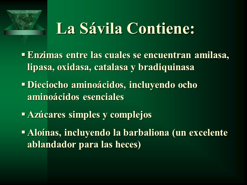 La Sávila Contiene: Enzimas entre las cuales se encuentran amilasa, lipasa, oxidasa, catalasa y bradiquinasa.