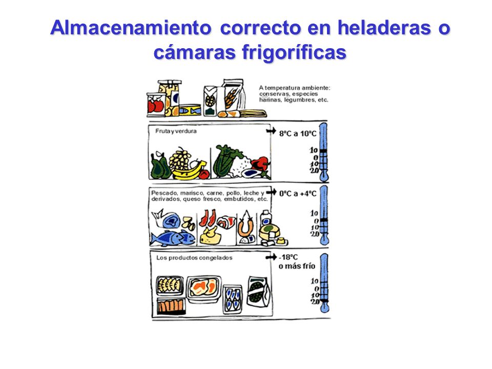 Almacenamiento correcto en heladeras o cámaras frigoríficas