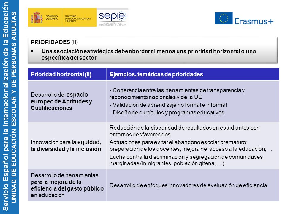 PRIORIDADES (II) Una asociación estratégica debe abordar al menos una prioridad horizontal o una específica del sector.