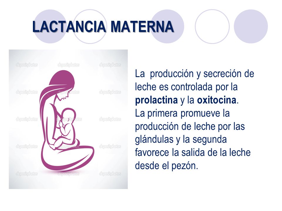 LACTANCIA MATERNA La producción y secreción de leche es controlada por la prolactina y la oxitocina.