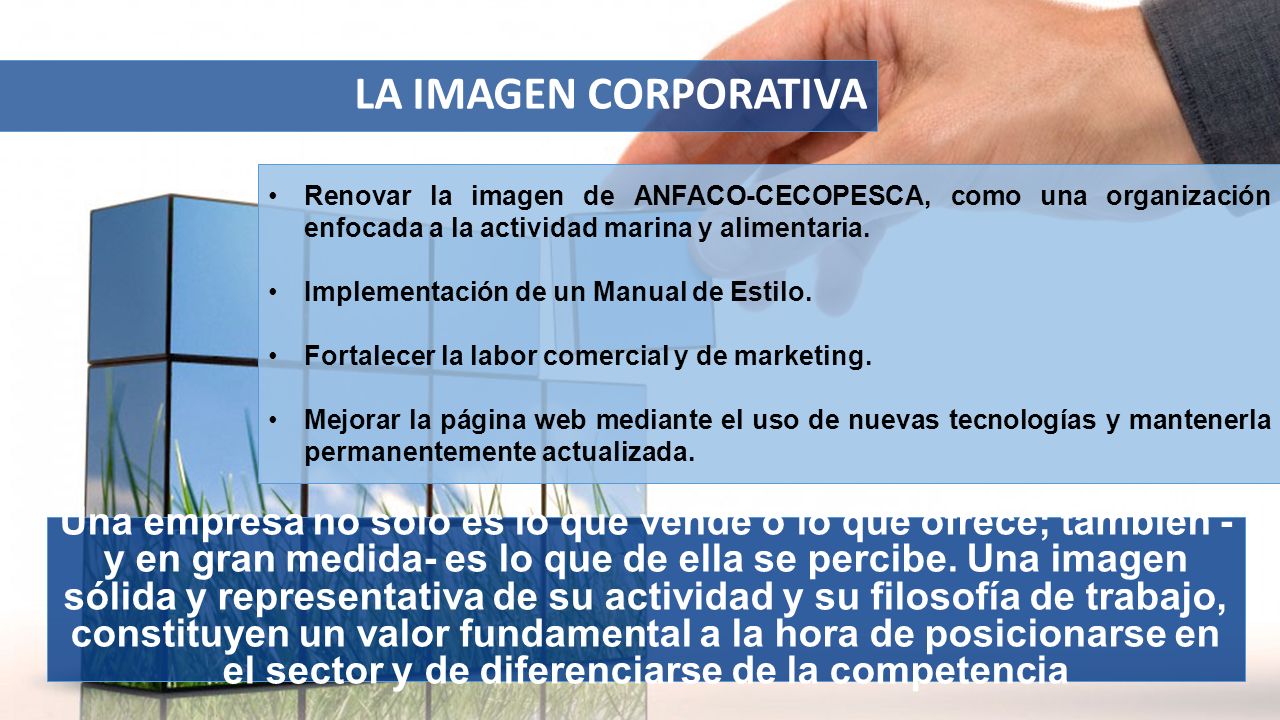 LA IMAGEN CORPORATIVA Renovar la imagen de ANFACO-CECOPESCA, como una organización enfocada a la actividad marina y alimentaria.