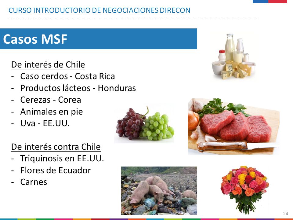 Casos MSF De interés de Chile Caso cerdos - Costa Rica
