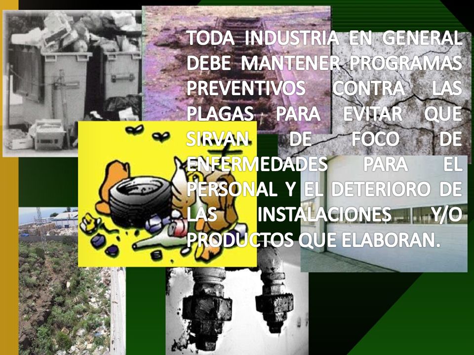 TODA INDUSTRIA EN GENERAL DEBE MANTENER PROGRAMAS PREVENTIVOS CONTRA LAS PLAGAS PARA EVITAR QUE SIRVAN DE FOCO DE ENFERMEDADES PARA EL PERSONAL Y EL DETERIORO DE LAS INSTALACIONES Y/O PRODUCTOS QUE ELABORAN.
