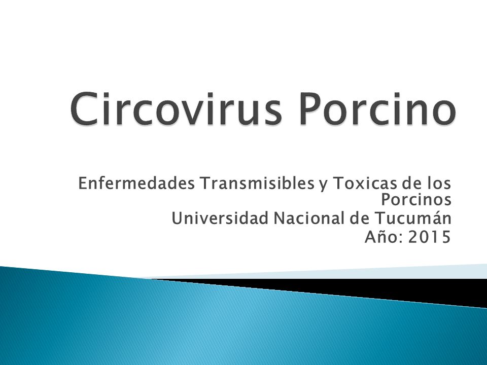 Circovirus Porcino Enfermedades Transmisibles y Toxicas de los Porcinos. Universidad Nacional de Tucumán.