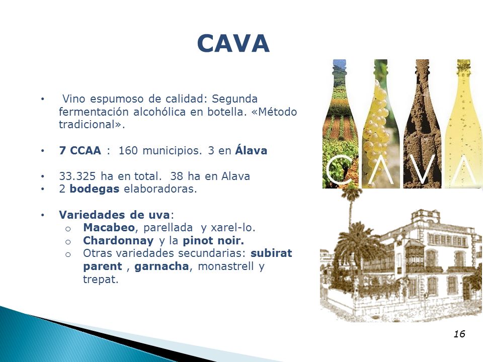 CAVA Vino espumoso de calidad: Segunda fermentación alcohólica en botella. «Método tradicional». 7 CCAA : 160 municipios. 3 en Álava.
