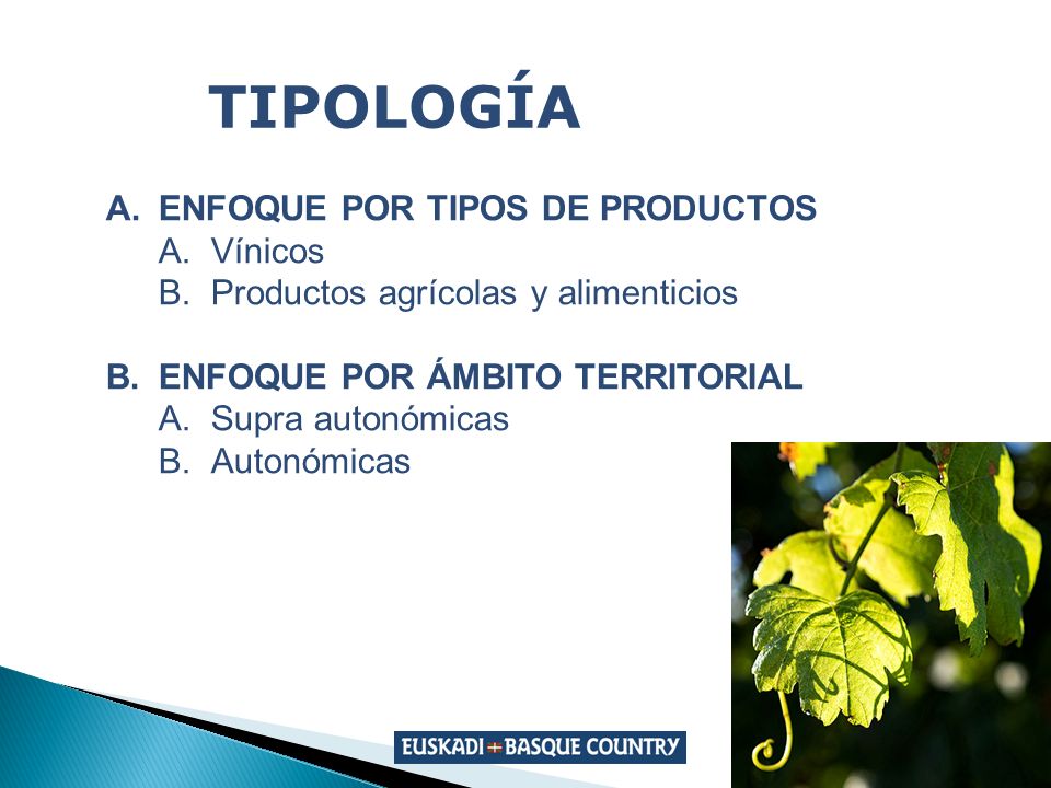 TIPOLOGÍA ENFOQUE POR TIPOS DE PRODUCTOS Vínicos