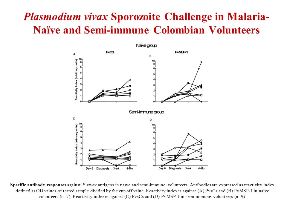Plasmodium vivax Sporozoite Challenge in Malaria-Naïve and Semi-immune Colombian Volunteers