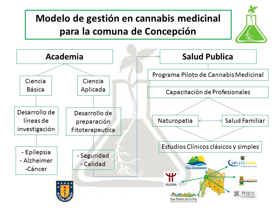 Modelo de gestión en cannabis medicinal para la comuna de Concepción