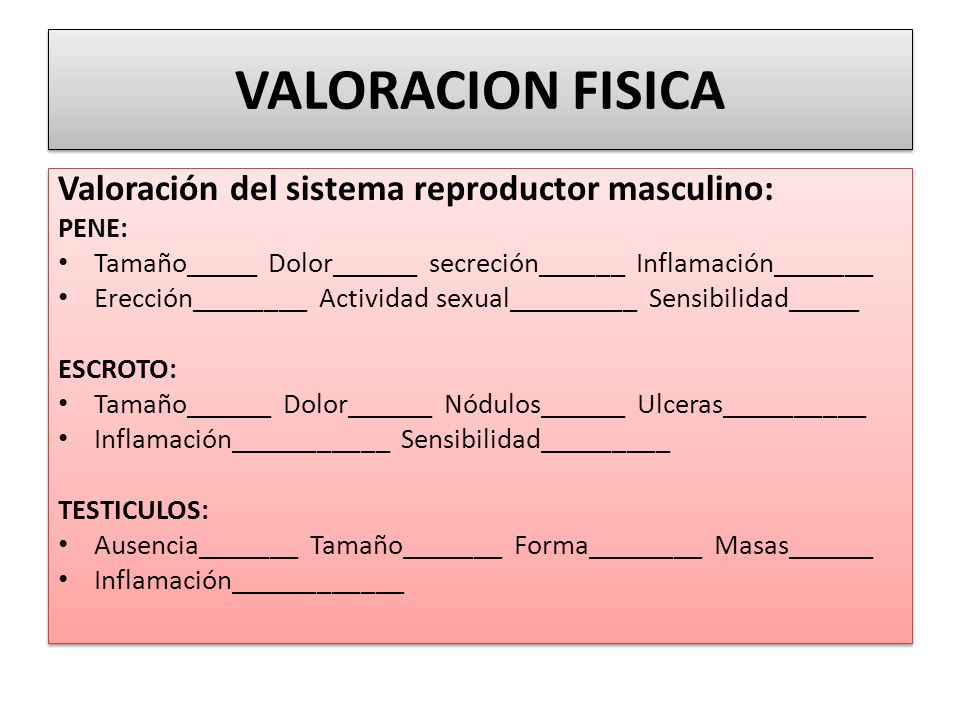 VALORACION FISICA Valoración del sistema reproductor masculino: PENE: