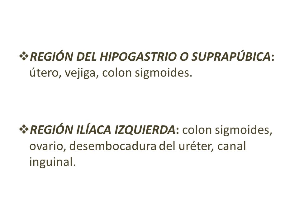 REGIÓN DEL HIPOGASTRIO O SUPRAPÚBICA: útero, vejiga, colon sigmoides.