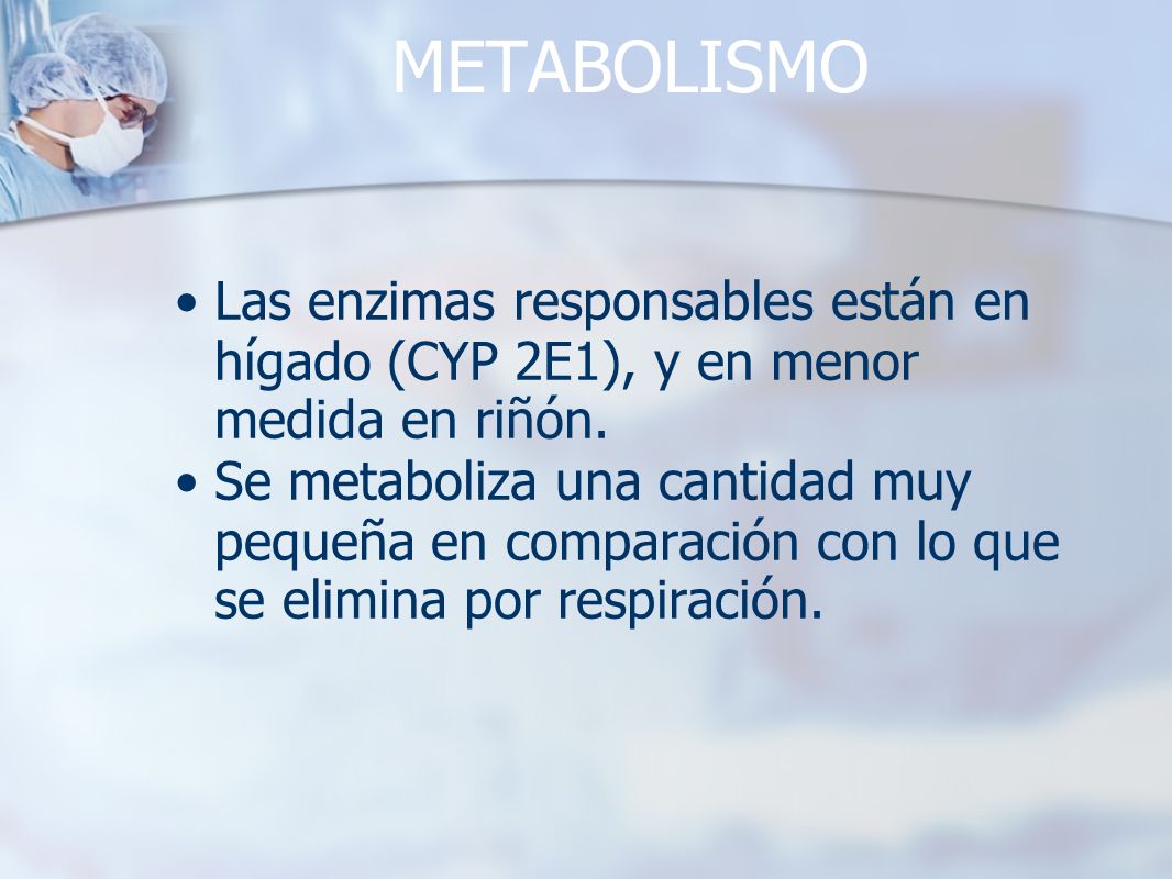 METABOLISMO Las enzimas responsables están en hígado (CYP 2E1), y en menor medida en riñón.