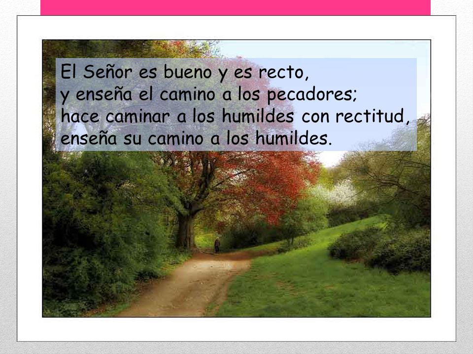 El Señor es bueno y es recto, y enseña el camino a los pecadores; hace caminar a los humildes con rectitud, enseña su camino a los humildes.