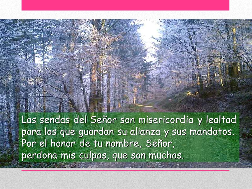 Las sendas del Señor son misericordia y lealtad para los que guardan su alianza y sus mandatos.