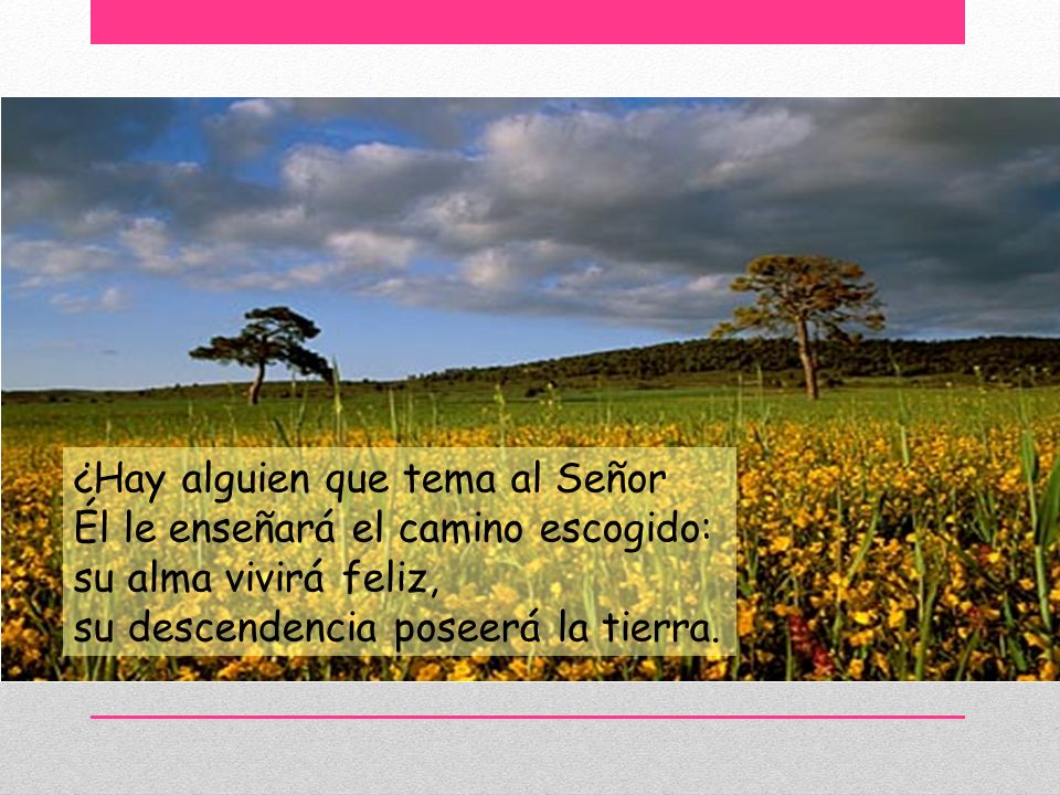 ¿Hay alguien que tema al Señor Él le enseñará el camino escogido: su alma vivirá feliz, su descendencia poseerá la tierra.