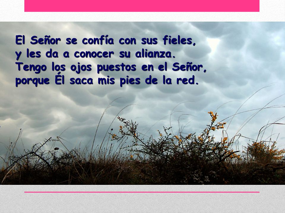 El Señor se confía con sus fieles, y les da a conocer su alianza